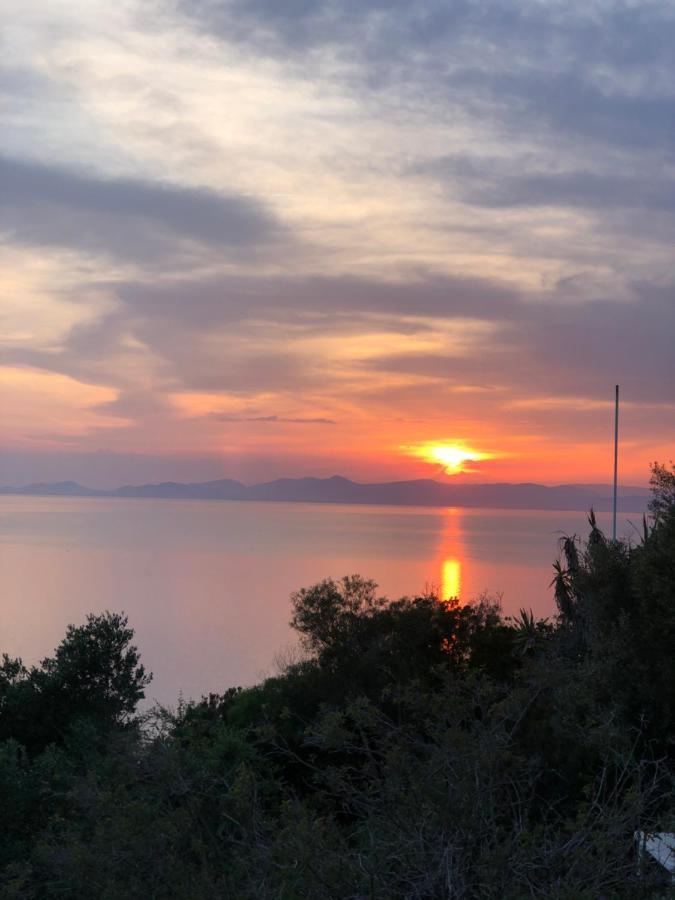 Appartamento Les Oreades, Studio Le Marin Avec Vue Mer Imprenable Île du Levant Esterno foto